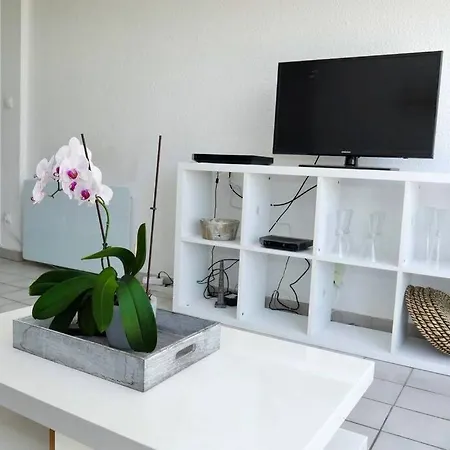 T2 Cocooning, Hospitaux Facultes Terrasse, Parking Prive *
